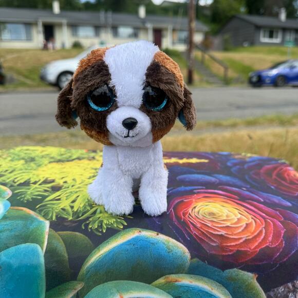 Ty Beanie Boo “Duke” 6″ Dog Plush – EUC - Picture 1 of 4